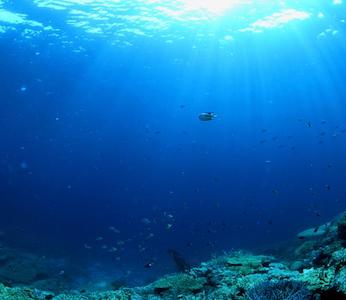 culebra cancellation diving