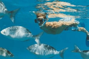culebra diving