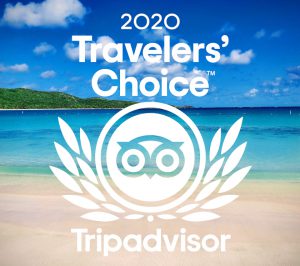 2020 TripAdvisor Travelers' Choice Award