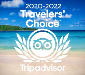 2020 - 2022 TripAdvisor Travelers' Choice Award