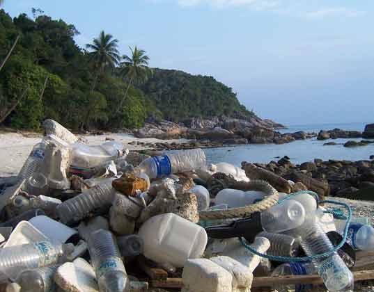 International Coastal Clean-up Day