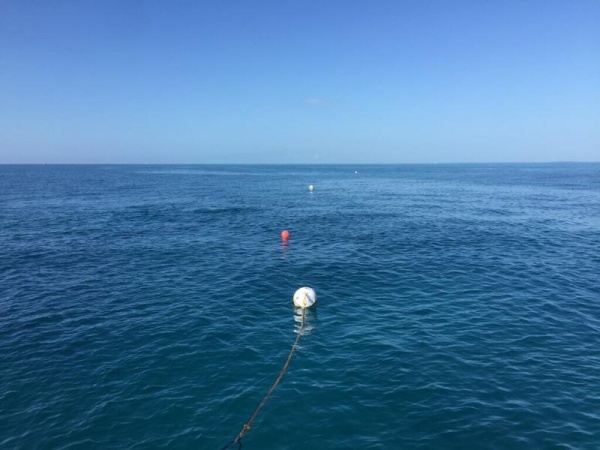 Key Largo Scuba Diving Services