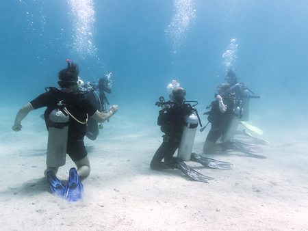 Keep Your Scuba Skills Sharp With a Refresher Course