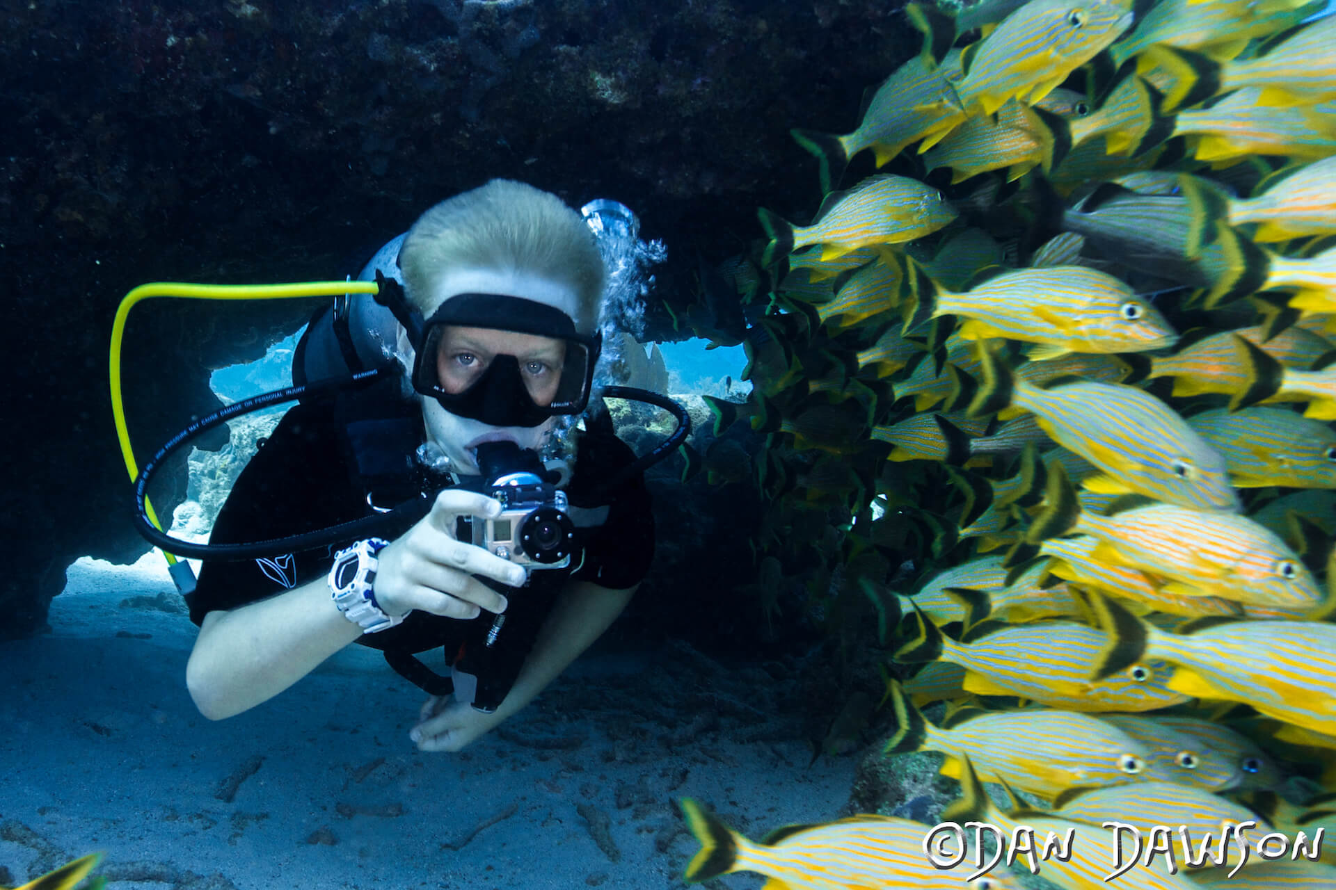 Key Largo Florida Scuba Diving Training & Tours with Horizon Divers
