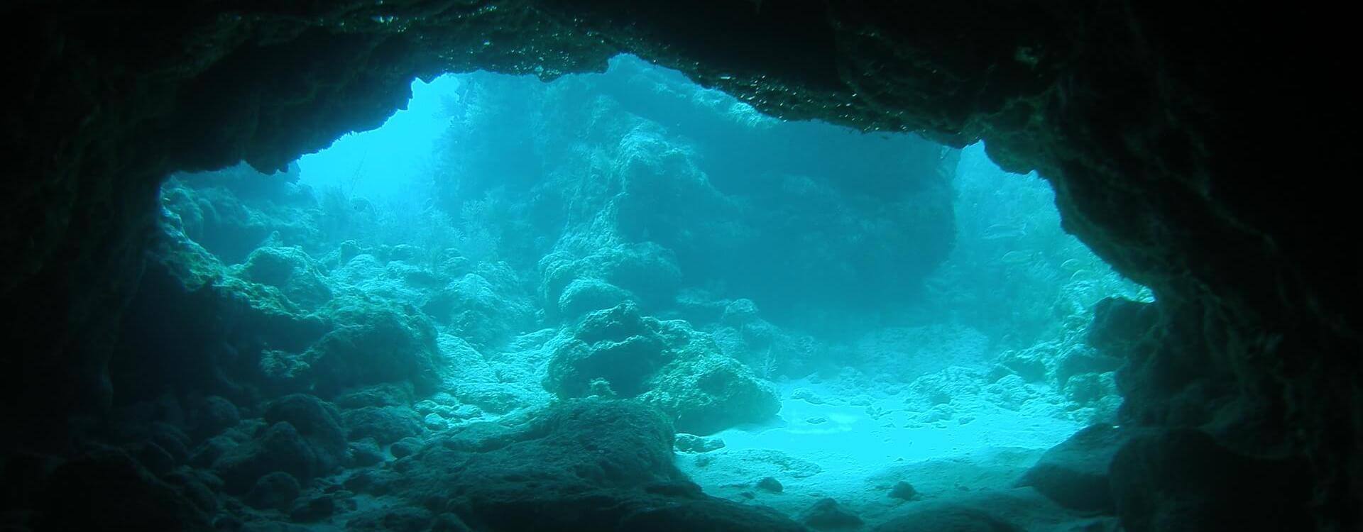 Florida's Scuba Diving Adventure