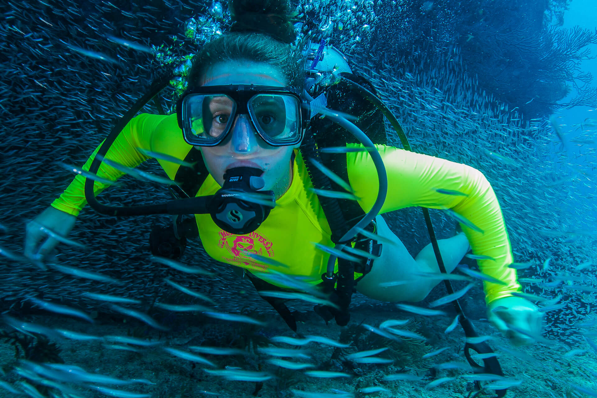 Key Largo Florida Scuba Diving Training & Tours with Horizon Divers