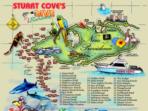 Dive Sites - Stuart Coves - Bahamas Dive Shop & Tours