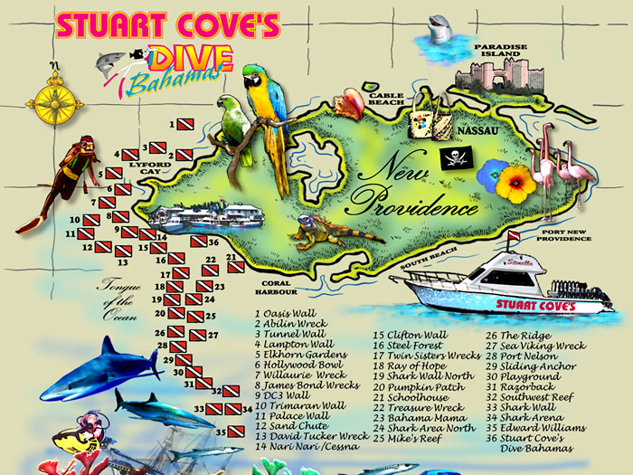 The Dive Sites of the Bahamas 